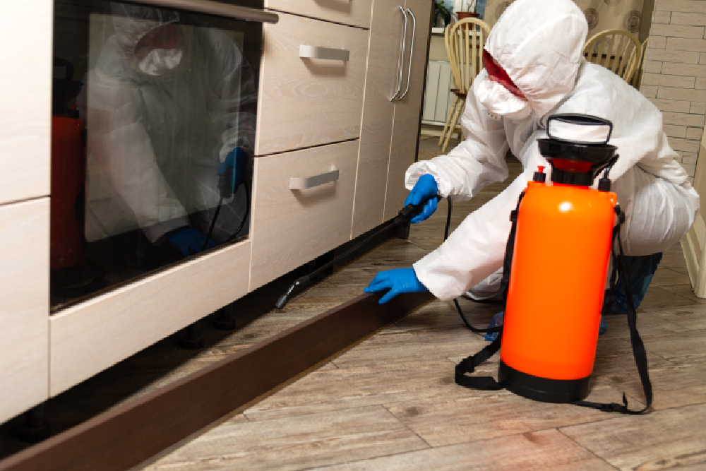 Bed Bug Control St. Paul