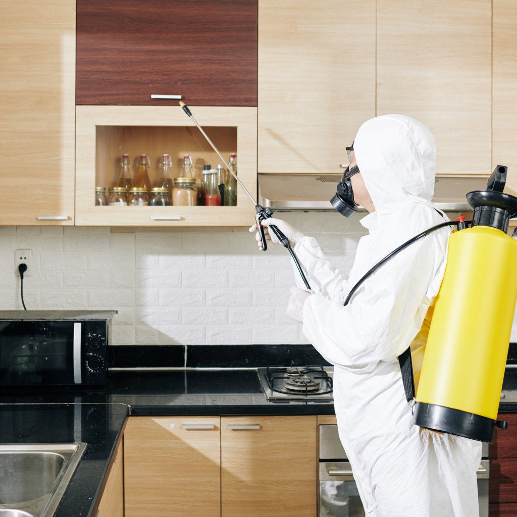 Bed Bug Removal St. Paul