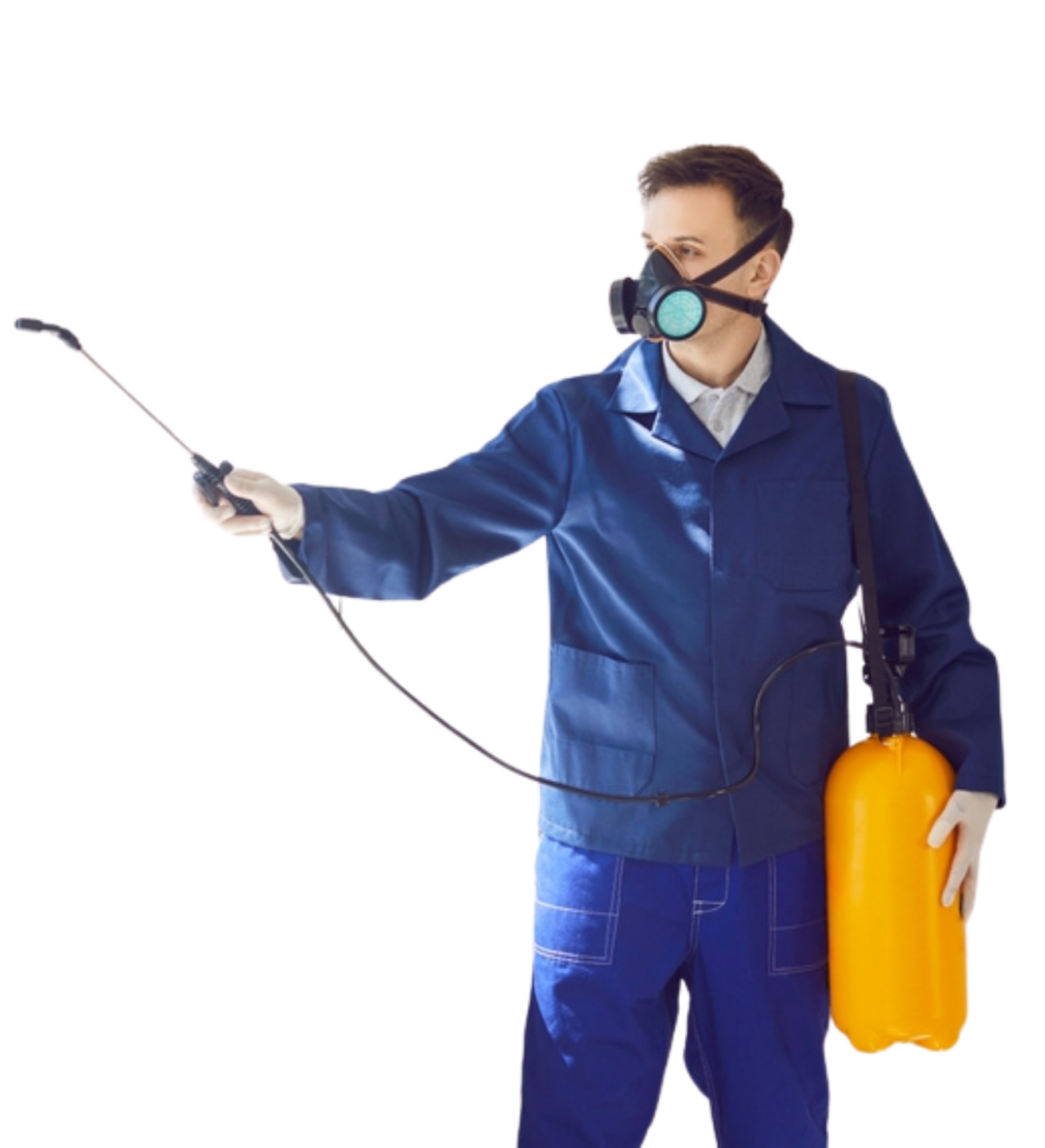 Pest Control St. Paul