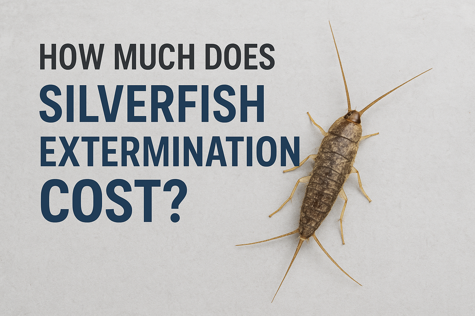 Silverfish Extermination Cost