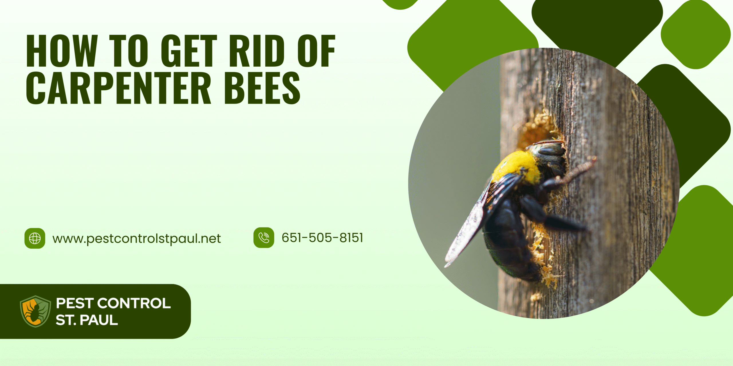 How to Get Rid of Carpenter Bees