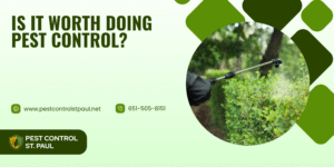 Is It Worth Doing Pest Control