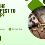 What Is the Hardest Pest to Get Rid Of