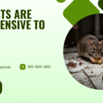 What Pests Are Most Expensive to Remove