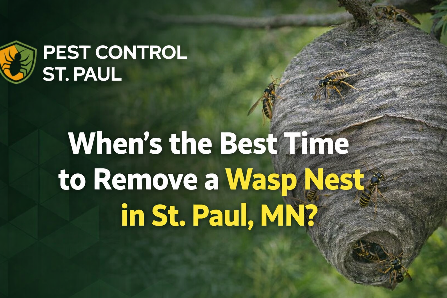 Remove a Wasp Nest