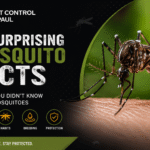 Mosquito Facts