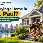 Why You Need a Termite Inspection First